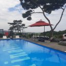 보령애견동반펜션 피노비스타 | #보령애견동반펜션 #보령 애견동반가볼만한곳 #피노비스타애견펜션 #피노비스타카페