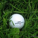 골프연습장 이미지