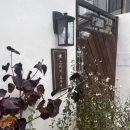 스테이 오무개 이미지