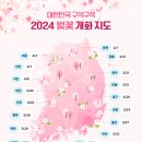 2024 벚꽃 개화 시기 총정리, 축제 포함 벚꽃 명소 추천 BEST 4 이미지