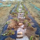 도남농장 이미지