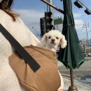 와니동물병원 이미지