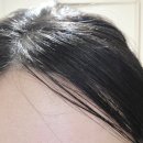 카라헤어 | 다이소 그로우어스 헤어픽싱카라 잔머리 픽서 구매 후기