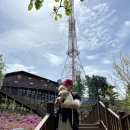 영천사 | 고봉산 전망대 방문 후기 애견동반 등산, 완전 초보도...일산 고봉산 영천사 - 고봉산 전망대 등산 코스