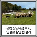 현목장 | 평창 삼양라운드힐(삼양목장) 여름 국내휴가지 후기, 입장료 할인팁 정리