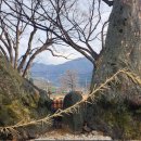 롯데A 경로당 이미지