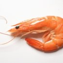 못된송아지 네이버블로그
