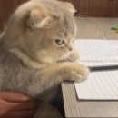 산본노블클래식의원 이미지