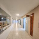 신성태권도체육관 이미지