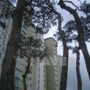 천안동일공인중개사사무소 이미지