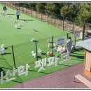 백양대로700번길 이미지