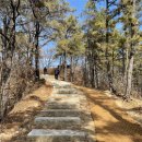 숲속공원 이미지