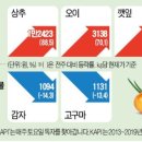 카카오농산물