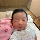 베이비 드라마 달 | 제천공공산후조리원 2주 이용 후기
