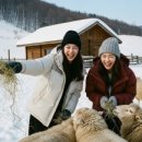 뚝너머목장 | 강원도 가볼만한곳 베스트 5, 절대 후회 없는 겨울 여행 코스