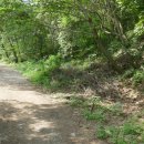 김삿갓어둔골 이미지