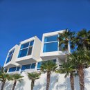 야자수 풀빌라 | 남해풀빌라펜션 마린피아스파&amp;풀빌라 후기