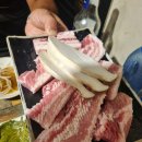 피그트램 이미지