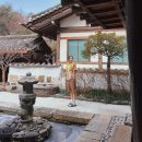 나무향기 이미지