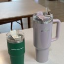 아스터 | 스탠리 퀜처 H2.0 플로우 스테이트 텀블러 아스터 색상 1.18L 내돈내산 후기