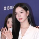 김채연 카카오 검색결과