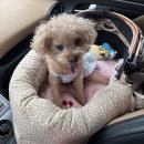 홍천 높은터 캠핑장 | 홍천높은터캠핑장 | 52번째 캠핑 : 실개천이 흐르는 계단식 프라이빗 캠핑장