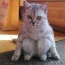 사상중흥S-클래스그랜드센트럴 이미지