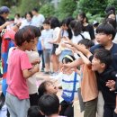 새별초교 이미지