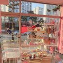 포마이댕 이미지