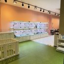 부산고양이분양 브라비펫 펫스테이션점 | 부산강아지분양 브라비펫 펫스테이션점 안심분양 시스템