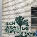 한국무용(초급) | 성인 한국무용 디딛 클래스/성인 취미 디딛 한국무용 스튜디오 후기