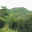 충주시 공설묘지 이미지