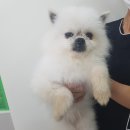 전주아중초등학교 이미지