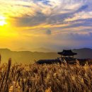 황매산 억새축제 이미지