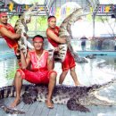 이티농장 이미지