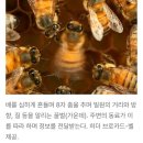 몸과 마음을 돌보는 치유의 움직임, 춤명상 | 내면치유의 열쇠 장요근 풀기와 에이온교정 발판 사용법