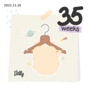 정선해뜨는어린이집 놀이터 | 육아어플 추천 17개! 그런데 실사용 후기를 곁들인...