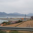 팽목수산