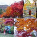 안성시장(덕유산장터) | 전북 무주 가볼만한곳 가을 단풍 명소 적상산 전망대 덕유산 구천동 어사길