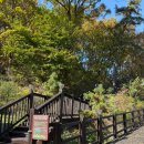 나무와 숲 석모도점 | 인천 강화도 가볼만한 곳 단풍 명소 석모도 자연휴양림