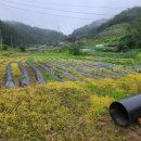 동진원예사 이미지