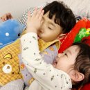 5411 | (육아/일상)대전 엑스포 아쿠아리움 후기🐳 (마술공연,수중발레,잉어먹이체험)어항만들기 체험 및 기프트...