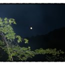 달뜨는언덕 이미지