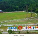 봉화목장 이미지