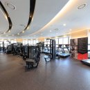 아바니핏 이미지