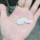 미유코스메틱 이미지