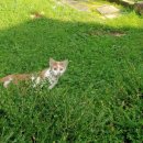 용산주공@ 이미지