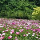 두원펜션 이미지