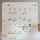 엔클라우드24(주) | 디톡스 도전기 (9월)