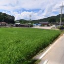 광산구-129 네이버블로그